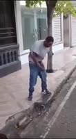 17388986988560.mp4