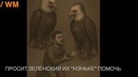 птица пиндосы мне не нужно твое золото.mp4