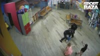 2794162464888195470.mp4