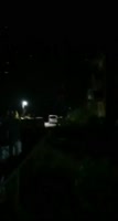 герани румыны.webm