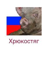 174794482869827644.jpeg