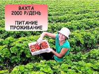 изображение.png