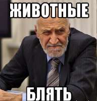 8936134.jpg
