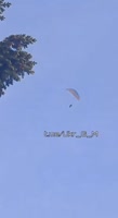 IMG1310.MP4