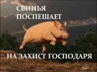 захист2.png