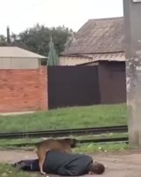 17499289541810.mp4