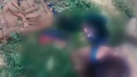 тырпы.mp4