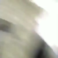 1648923163493.mp4