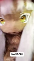 16985601441226.mp4