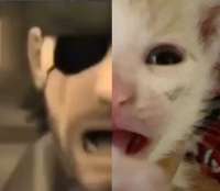 IMG1432.png