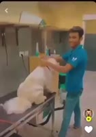 1740445591008989.webm