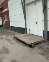 16932248363711.mp4