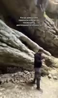 17276356079835.webm