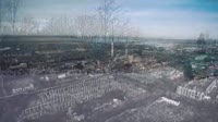 17474261907503.mp4