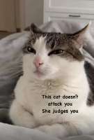 classic-memes-2-20250310.jpg