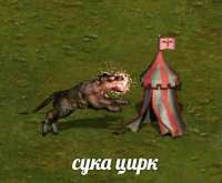 17522521524220.jpg