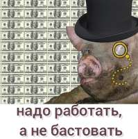 17413203952050.jpg