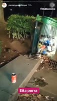 париж крысы.mp4