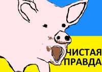 правда.jpg