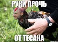15461009111220.jpg