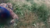 терпы.mp4
