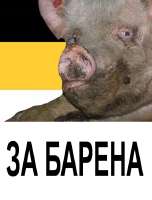 489DFA8A-4850-4501-AF67-E9769A7C7651.jpeg