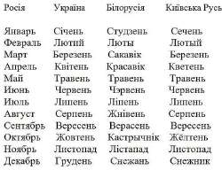 1492595340167027945 (1).jpg