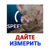 17542074685080.png