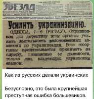 2467053original.jpg