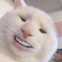 17534011956900.png