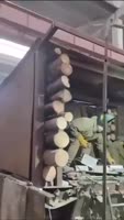 сво17533410649673.mp4