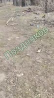 курск17442598904192.mp4