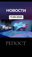 17549157877660.mp4