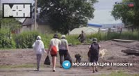 17543152263170.mp4