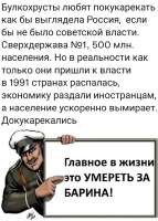 16876840962301.jpg
