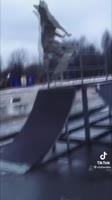 4.mp4
