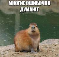 175540636325114081.jpg