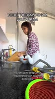 1755339866122.mp4