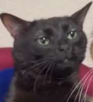 17219309810890.png