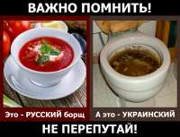 русский и украинский борщ.jpg