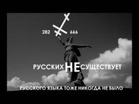 17235812300720.mp4