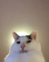 video2023-11-0112-47-41.mp4