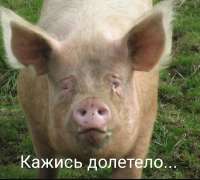 3f063d4c-15c2-444e-a5fd-f7ea3f9ae481.jpg