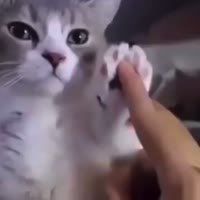 1000009021.mp4