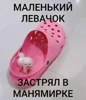 17091654603400.mp4