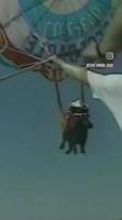 17559923995850.webm