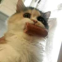U0PAZVTHDWA.jpg