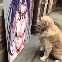 ++++.mp4