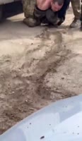 video (16).mp4