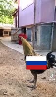 17504407532210.mp4